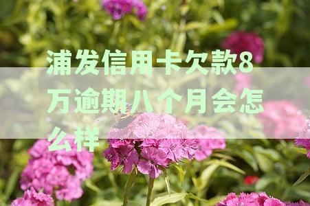 浦发银行80,000欠款四个月未还，该如何处理？