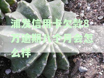 浦发银行逾期三年欠款八万可以协商分两年还吗？