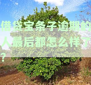 2021年借贷宝逾期还款后果全解析：如何避免罚息、影响信用记录及催收方式