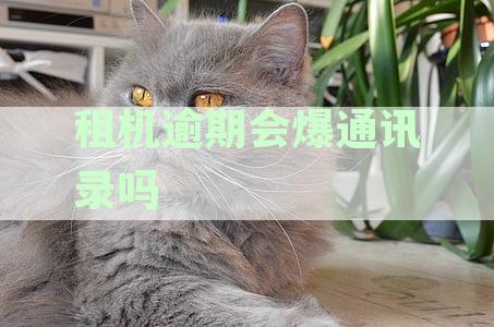 租赁设备逾期未归还的后果及法律责任：详细解析与避免措
