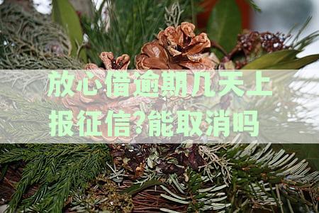 逾期几天上报征信后的处理措：取消还是进一步影响？