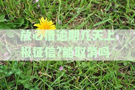 借款逾期几天会影响征信？如何避免逾期还款导致的信用问题？