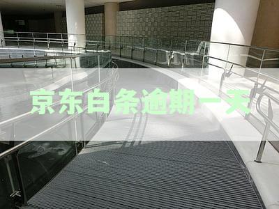 逾期一天还款，是否会影响个人征信评估？