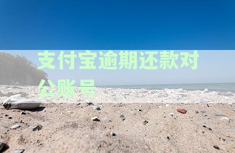 支付宝逾期还款对公账户页面何时更新？如何查看逾期还款信息？