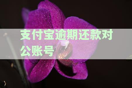 支付宝逾期还款对公账号冻结风险及处理方法