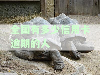 全国信用卡逾期人数统计：影响、原因与解决策略全面分析