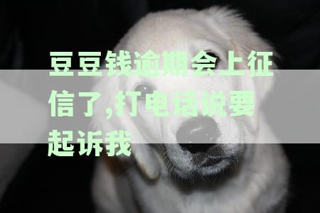 豆豆钱逾期会打单位电话吗-豆豆钱逾期会给公司打电话吗