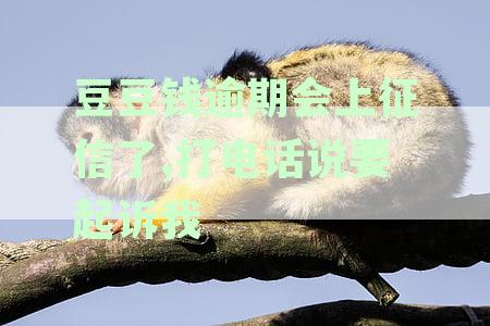 豆豆钱逾期会上征信了,打电话说要起诉我