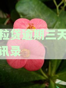 微粒贷逾期三天爆通讯录有影响吗：解决方法和安全性分析