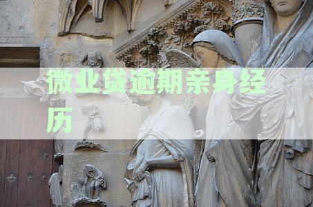 网贷逾期后的有效应对策略：如何申请停息挂账
