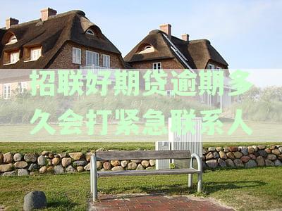 招联好期贷逾期处理时间与联系方式分析