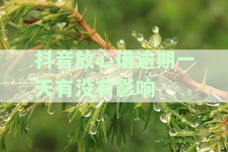 一天内还款的放心借逾期经历：真实感受与应对策略
