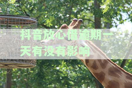 一天的逾期还款，对您的信用有何影响？如何避免后果？