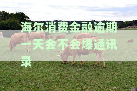 海尔消费金融逾期后果及应对措：用户需了解的关键信息