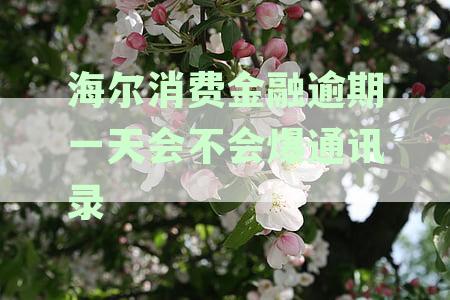 海尔消费金融逾期一天会不会爆通讯录