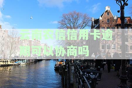 云南农信信用卡还款日无法按时还款的解决办法与办理方式