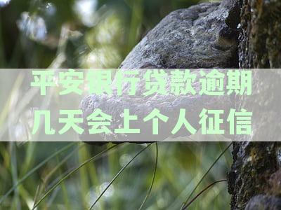 平安银行贷款逾期对个人征信的影响：逾期时间、处理方式及恢复流程详解