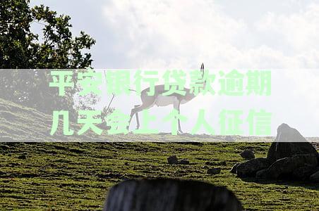 2020年平安银行贷款逾期上征信天数：具体时间与影响解读