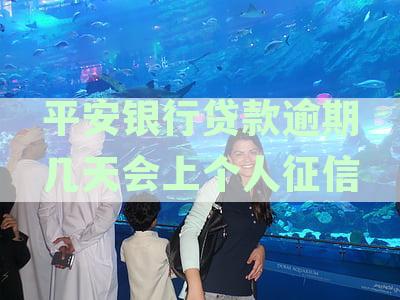 平安银行贷款逾期后多久会联系家人进行催收？是否会影响信用卡使用？