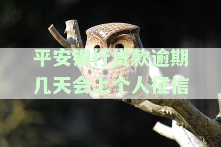 平安银行贷款逾期后果全方位解析：影响、处理方式及预防措