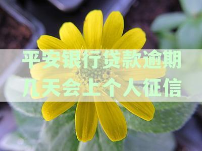 平安银行贷款逾期会影响个人征信吗？如何处理？