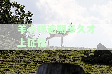 羊小咩借款逾期一个月，可能面临的问题与解决办法
