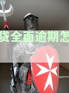 网贷全面逾期怎么办