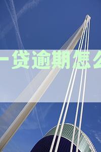 新一贷逾期怎么协商分期还款：一年后处理策略与技巧