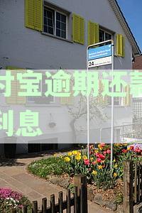 支付宝逾期罚息减免政策详解：如何避免逾期、减轻还款压力及恢复信用？