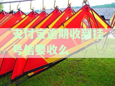 支付宝逾期后寄出的挂号信真实性核实方法及可能的影响全解
