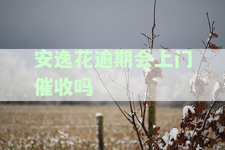 安逸花逾期会上门催收吗