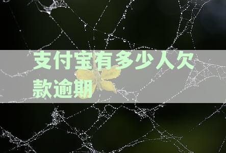 支付宝欠款逾期人数统计：2020年u00262021年u0026当前数据
