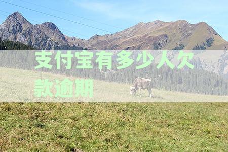 支付宝花呗逾期还款未支付案例分析：多少用户面临起诉风险？