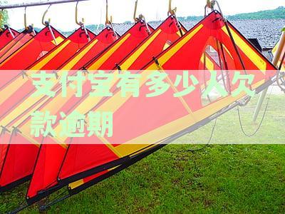 支付宝逾期现象普遍吗？有多少用户存在逾期情况？如何解决逾期问题？