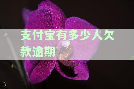 支付宝有多少人欠款逾期