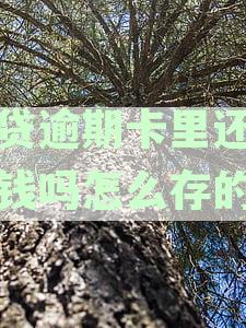逾期后银行卡资金安全：如何进行存钱操作及注意事