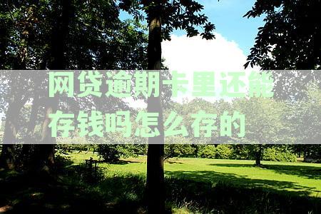 网贷逾期存款安全吗？如何处理？