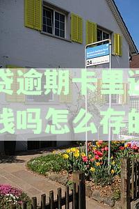 关于逾期网贷银行卡存款的安全问题，菏泽电网专家资讯解读