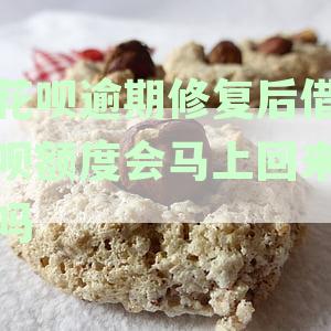 花呗逾期后修复记录，额度提升的机会和可能性如何？了解详细情况