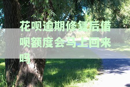 花呗逾期记录修复：还清后信用恢复的时间考量与征信影响分析