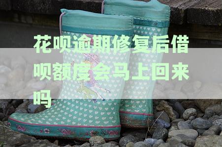 花呗逾期修复后借呗额度会马上回来吗