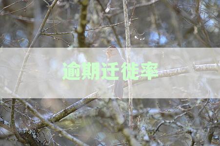 全面了解逾期迁徙率计算方法与影响因素：解决用户搜索的常见问题