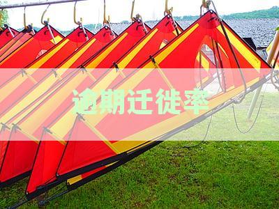 逾期迁徙率