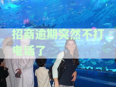 招商逾期半年不打电话了：原因、影响及解决办法
