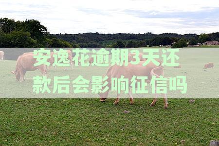 安逸花逾期三天还款后果：是否会永久影响个人征信？