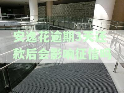 安逸花逾期三天还款后，能否正常取出借款？
