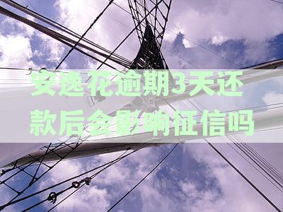 安逸花逾期3天是否会影响个人信用记录？了解征信报告的构成和影响因素
