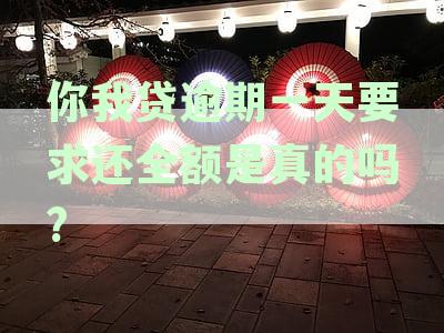 关于你我贷逾期一天还款全额是否属实的疑问解答