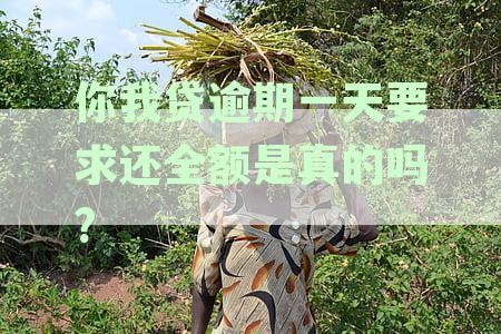 逾期一天的你我贷是否会产生严重后果？了解逾期影响和应对策略