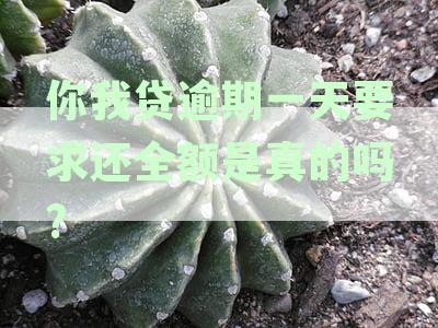 你我贷逾期一天会怎样，会上征信吗？不小心逾期一天怎么办及时还了